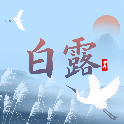 白露 | 蒹葭蒼蒼，白露為霜